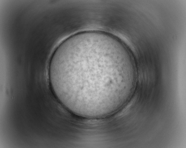 X0000092051366200709262002