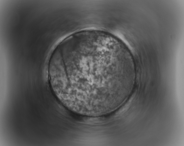 X0000092051367200709262002