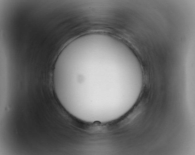 X0000092051369200709262001