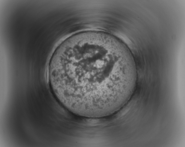 X0000092051371200709262001