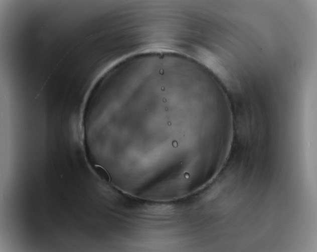 X0000092051372200709262001