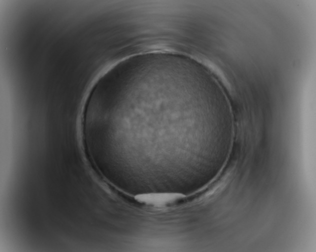 X0000092051373200709262001