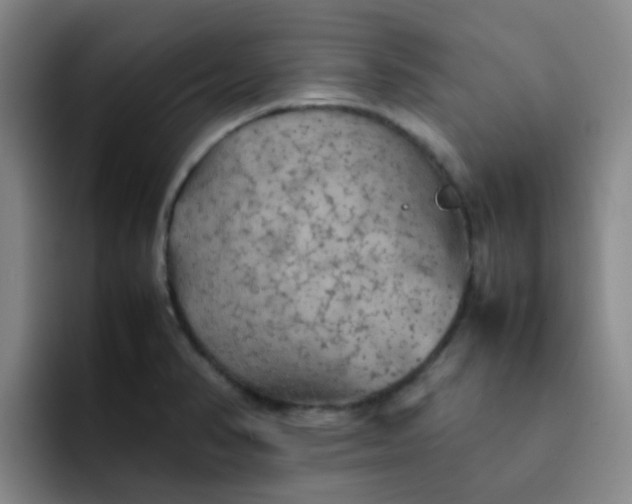 X0000092051374200709262001