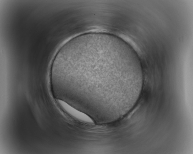 X0000092051375200709262001