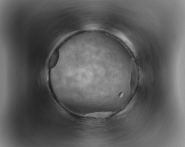 X0000092051376200709262001