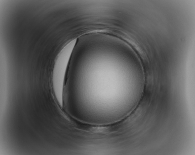 X0000092051377200709262001