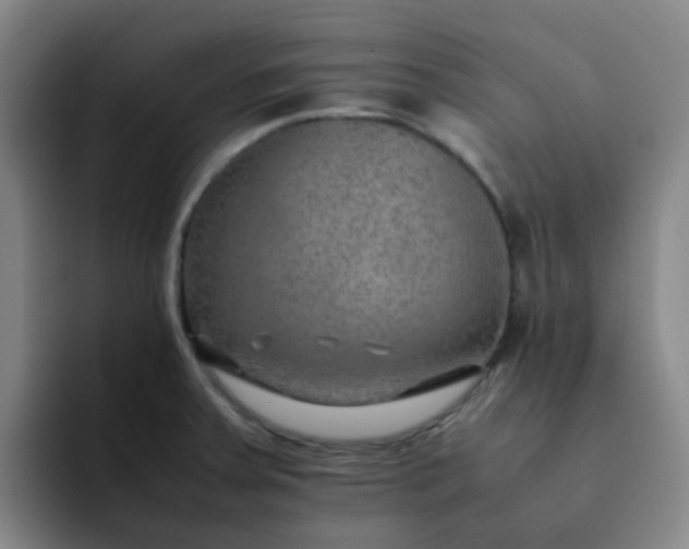 X0000092051379200709262001