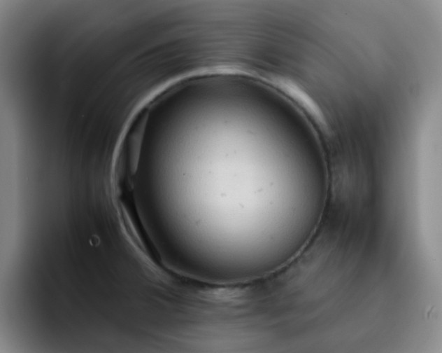 X0000092051380200709262001