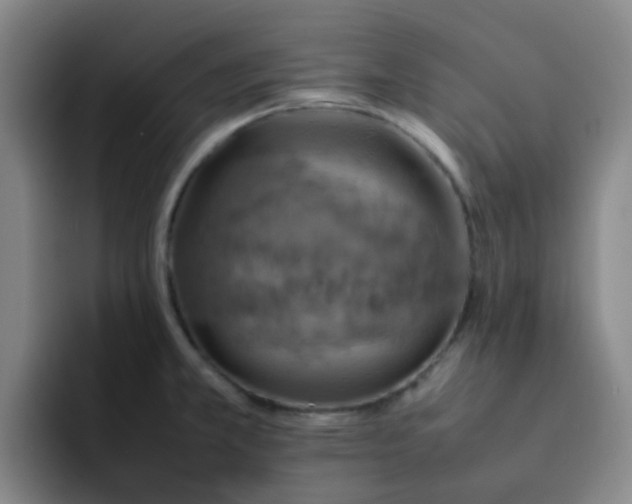 X0000092051381200709262001