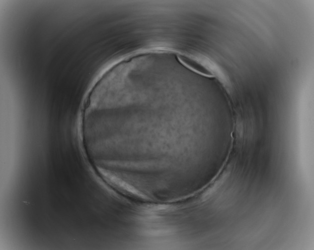 X0000092051382200709262001