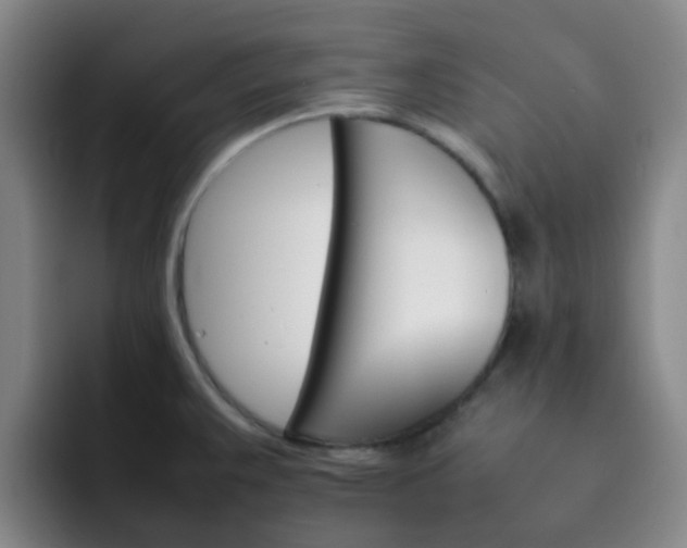 X0000092051383200709262001