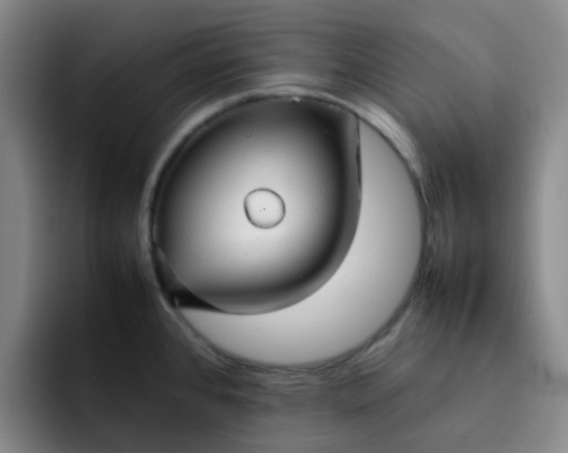 X0000092051384200709262001