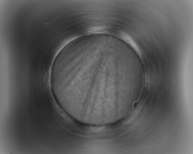 X0000092051386200709262001