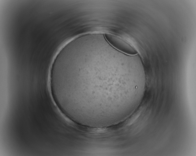 X0000092051387200709262001