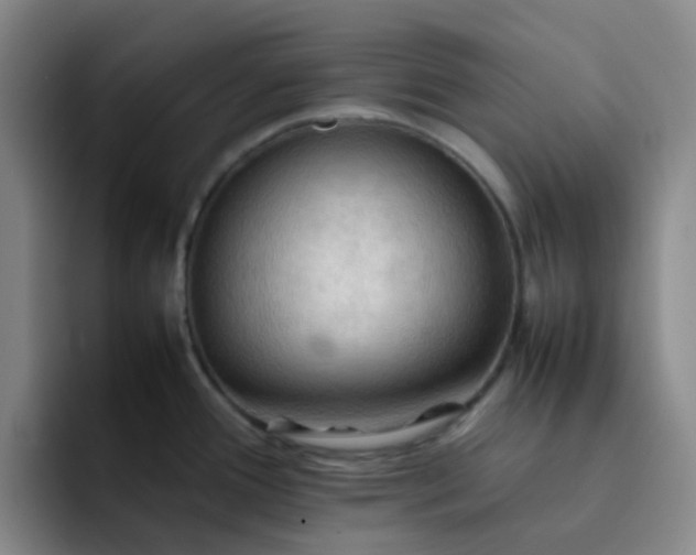 X0000092051388200709262001