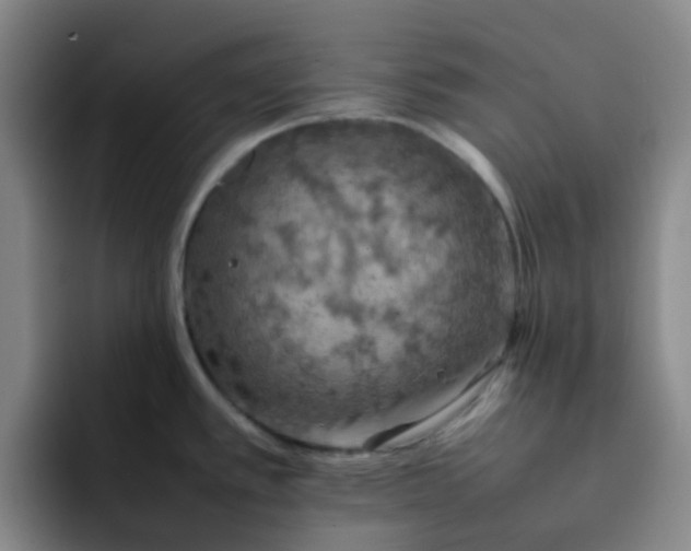 X0000092051389200709262001