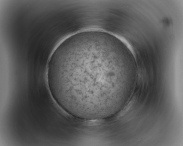 X0000092051390200709262001