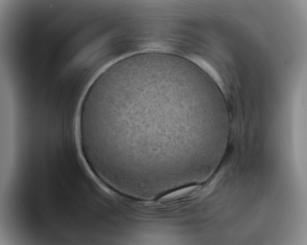 X0000092051391200709262001