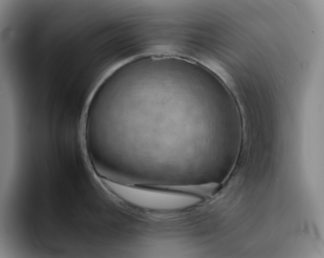 X0000092051392200709262001