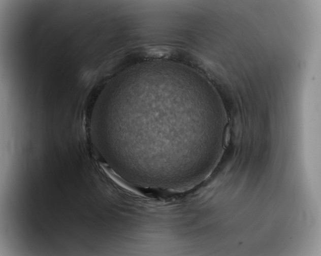 X0000092051394200709262000