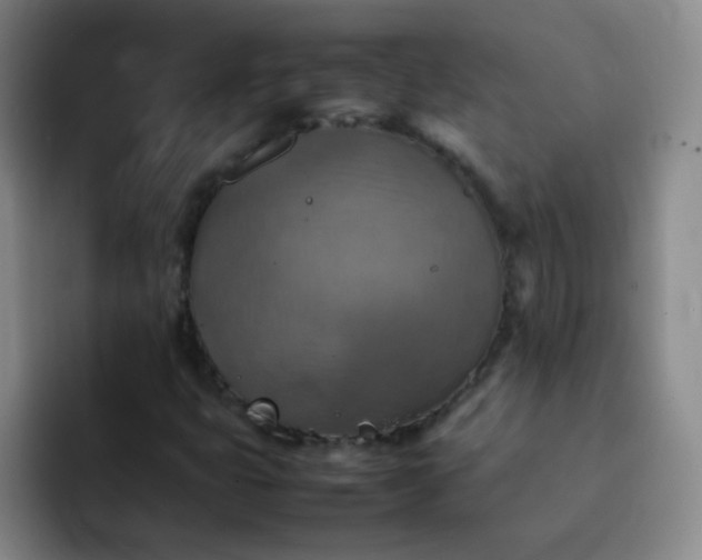 X0000092051399200709262001