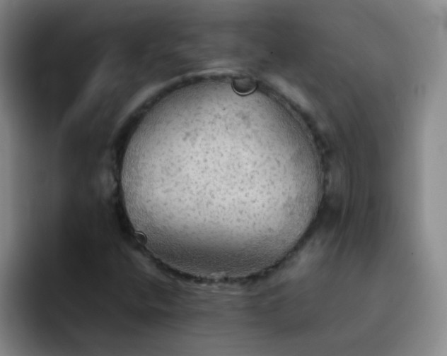 X0000092051400200709262001