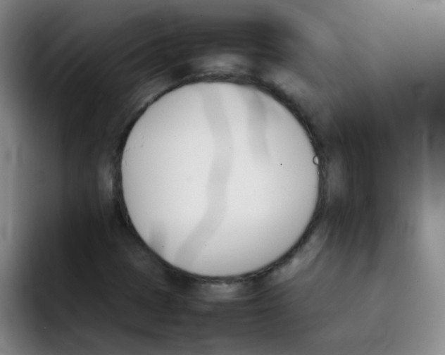 X0000092051401200709262001