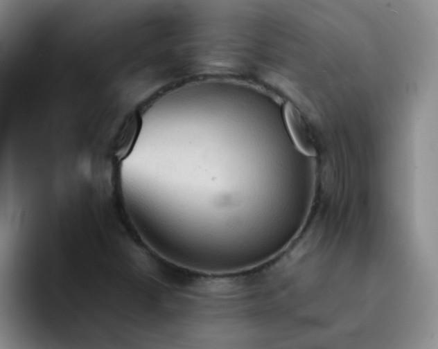 X0000092051402200709262001