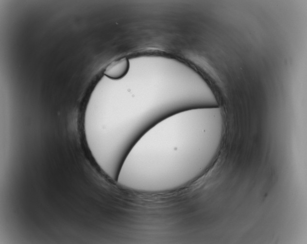 X0000092051404200709262001