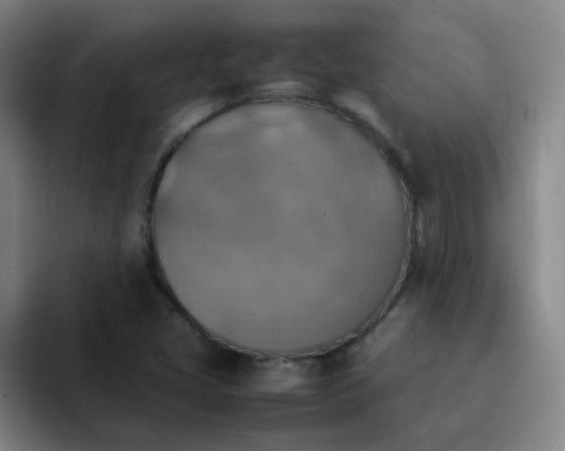 X0000092051405200709262001