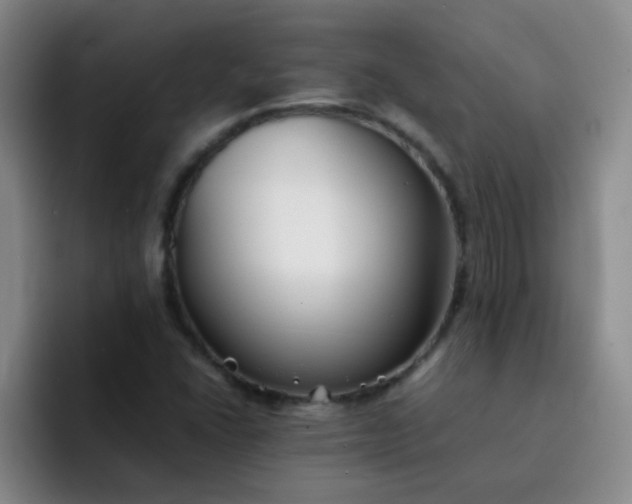 X0000092051406200709262001