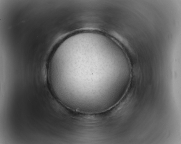 X0000092051408200709262001