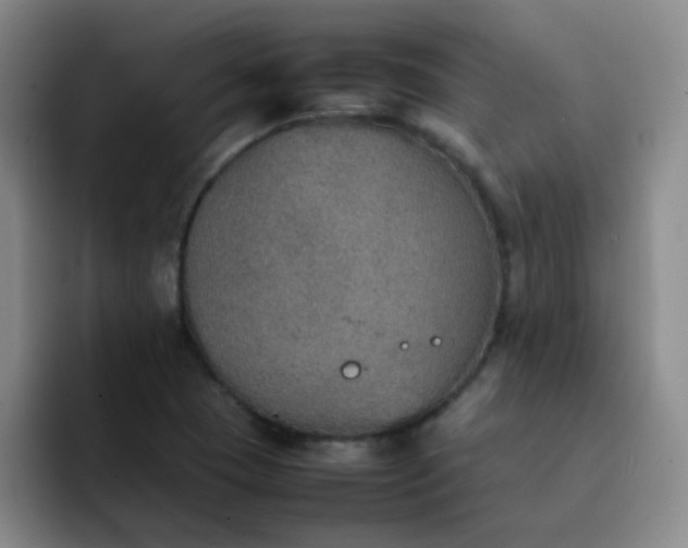 X0000092051409200709262001