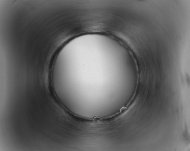 X0000092051410200709262001