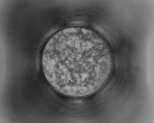 X0000092051411200709262001