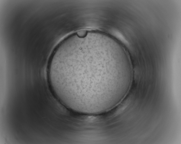 X0000092051412200709262001