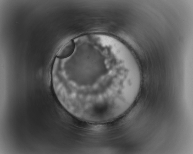 X0000092051413200709262001