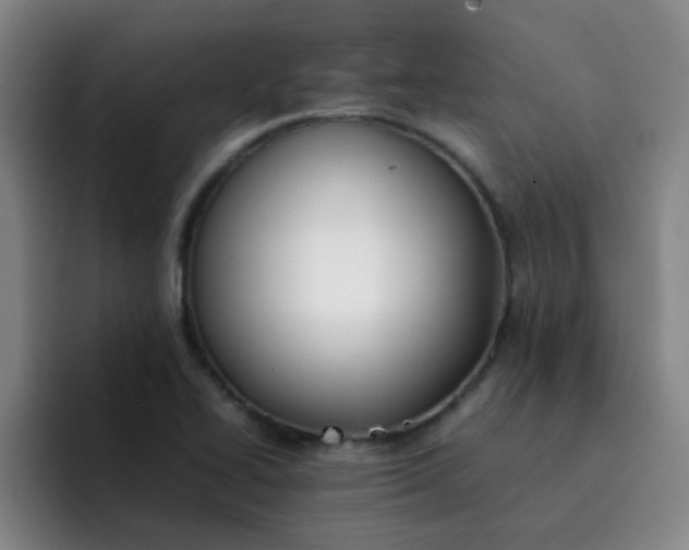 X0000092051414200709262001