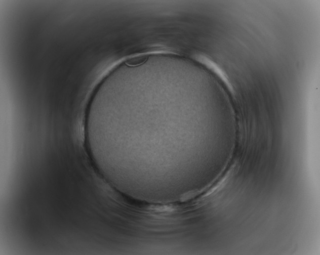 X0000092051415200709262001