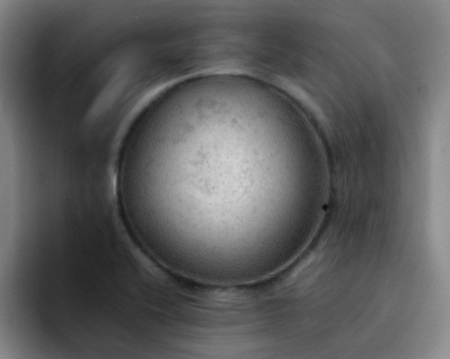 X0000092051416200709262001