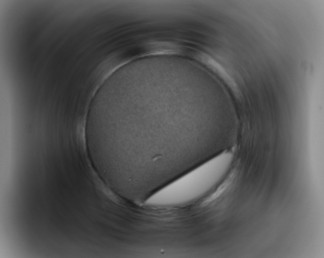 X0000092051417200709262001