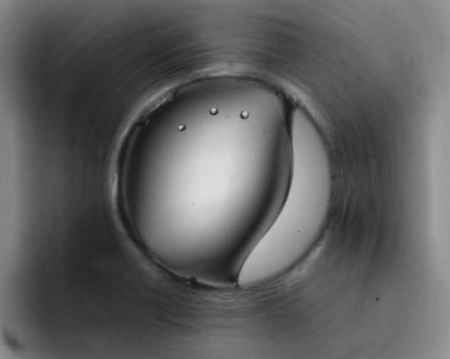 X0000092051418200709262001