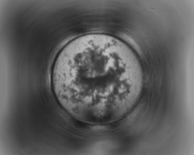 X0000092051419200709262001