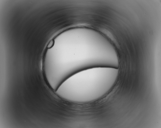 X0000092051420200709262001