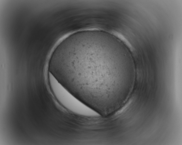 X0000092051421200709262001