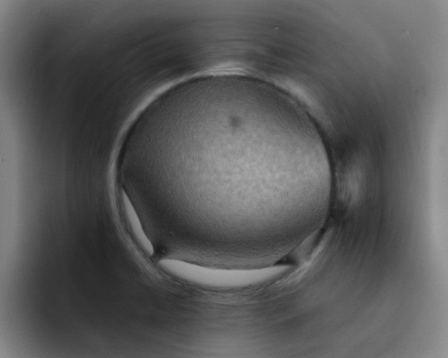 X0000092051422200709262001