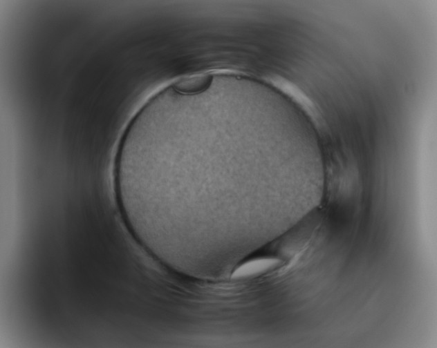 X0000092051423200709262001