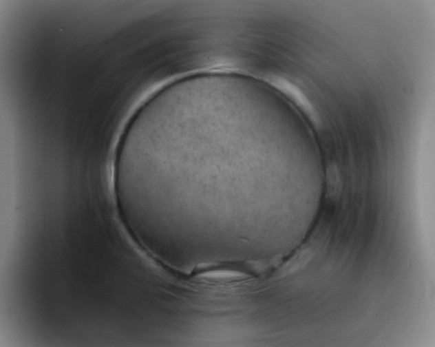 X0000092051424200709262001