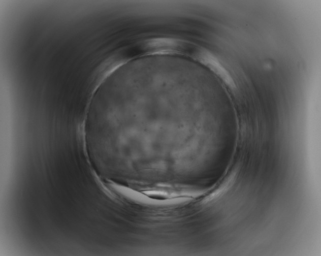 X0000092051425200709262001