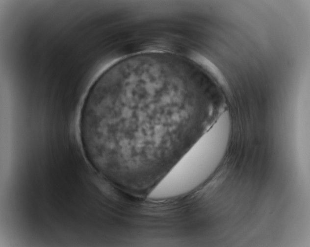 X0000092051427200709262001